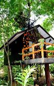 Туры в отель Khao Sok Tree House