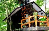 Туры в отель Khao Sok Tree House