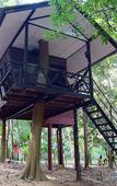 Туры в отель Khao Sok Tree House