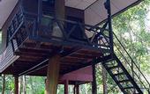 Туры в отель Khao Sok Tree House