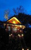 Туры в отель Khao Sok Tree House