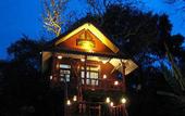 Туры в отель Khao Sok Tree House