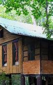 Туры в отель Khao Sok Tree House