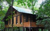Туры в отель Khao Sok Tree House