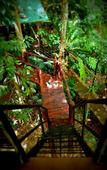 Туры в отель Khao Sok Tree House