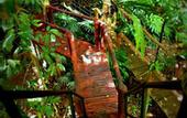 Туры в отель Khao Sok Tree House