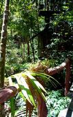 Туры в отель Khao Sok Tree House