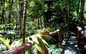 Туры в отель Khao Sok Tree House