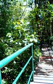 Туры в отель Khao Sok Tree House