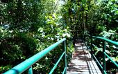Туры в отель Khao Sok Tree House