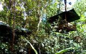 Туры в отель Khao Sok Tree House