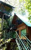 Туры в отель Khao Sok Tree House