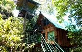 Туры в отель Khao Sok Tree House