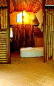 Туры в отель Khao Sok Tree House