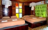 Туры в отель Khao Sok Tree House