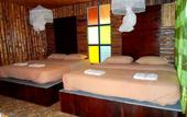 Туры в отель Khao Sok Tree House