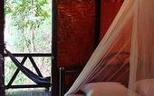 Туры в отель Khao Sok Tree House