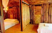Туры в отель Khao Sok Tree House