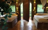 Туры в отель Khao Sok Tree House