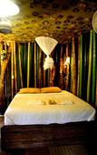 Туры в отель Khao Sok Tree House