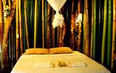 Туры в отель Khao Sok Tree House