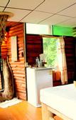 Туры в отель Khao Sok Tree House