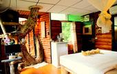 Туры в отель Khao Sok Tree House