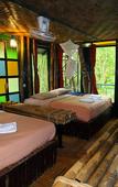 Туры в отель Khao Sok Tree House