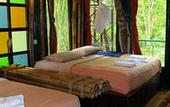 Туры в отель Khao Sok Tree House