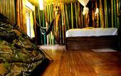 Туры в отель Khao Sok Tree House