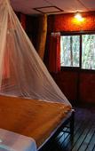 Туры в отель Khao Sok Tree House