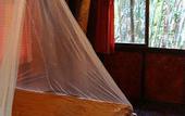 Туры в отель Khao Sok Tree House