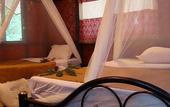 Туры в отель Khao Sok Tree House