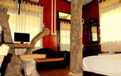 Туры в отель Khao Sok Tree House