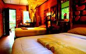 Туры в отель Khao Sok Tree House