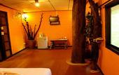 Туры в отель Khao Sok Tree House