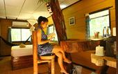 Туры в отель Khao Sok Tree House