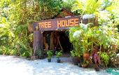Туры в отель Khao Sok Tree House