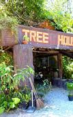 Туры в отель Khao Sok Tree House