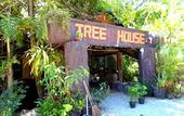 Туры в отель Khao Sok Tree House