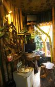 Туры в отель Khao Sok Tree House