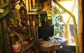 Туры в отель Khao Sok Tree House