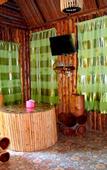 Туры в отель Khao Sok Tree House