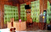 Туры в отель Khao Sok Tree House