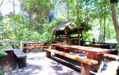 Туры в отель Khao Sok Tree House
