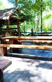 Туры в отель Khao Sok Tree House