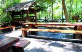 Туры в отель Khao Sok Tree House