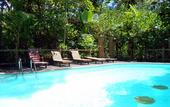 Туры в отель Khao Sok Tree House