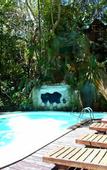 Туры в отель Khao Sok Tree House