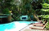 Туры в отель Khao Sok Tree House
